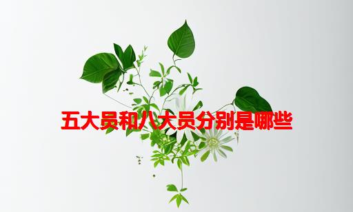 五大员和八大员分别是哪些