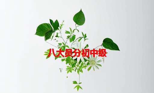 八大员分初中级_八大员多少分过