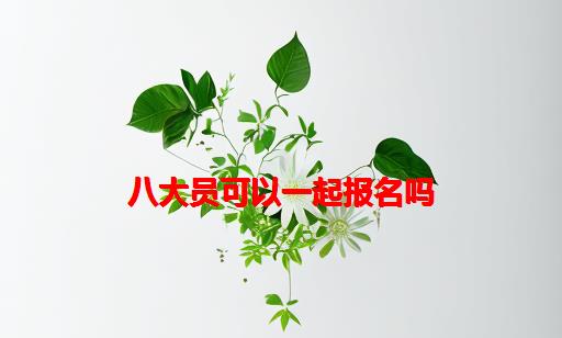 八大员可以一起报名吗