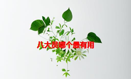 八大员哪个最有用_建筑八大员有用吗