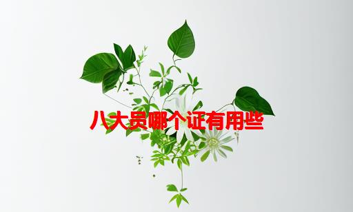 八大员哪个证有用些_学校的八大员证有用吗