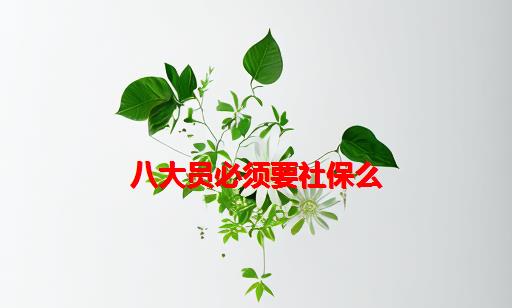 八大员必须要社保么_八大员公司交社保吗