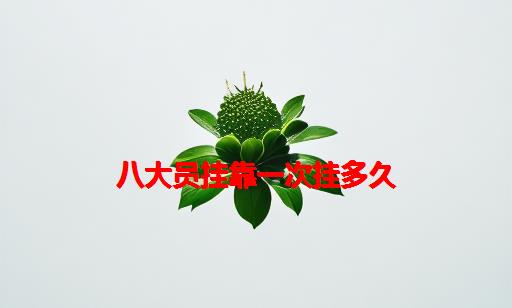 八大员挂靠一次挂多久