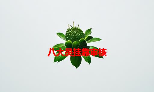 八大员挂靠审核