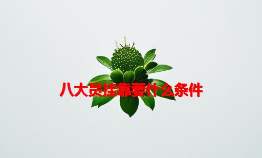 八大员挂靠要什么条件