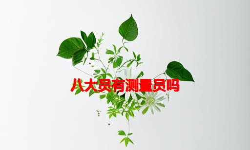 八大员有测量员吗_八大员测量员题库