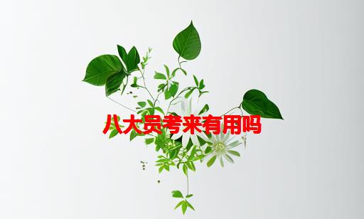 八大员考来有用吗_现在考八大员有用吗