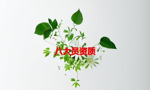 八大员资质_八大员资质有帮助吗