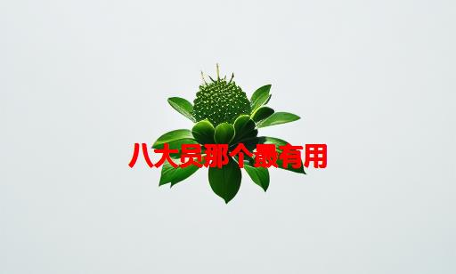 八大员那个最有用_八大员证有用吗