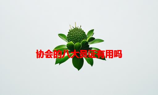 协会的八大员证有用吗_建筑协会八大员证书有用吗